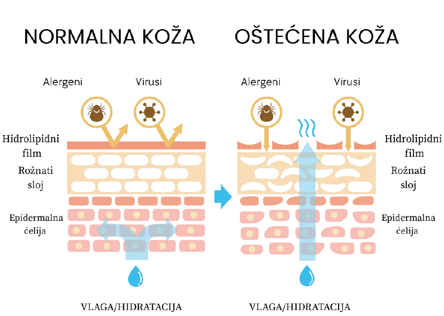 Kožna barijera: Zašto je “manje je više” postalo zlatno pravilo njege kože